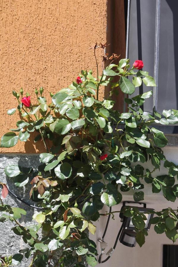 Bed and Breakfast Beb Da Gaia E Giulio Reno Di Leggiuno Zewnętrze zdjęcie